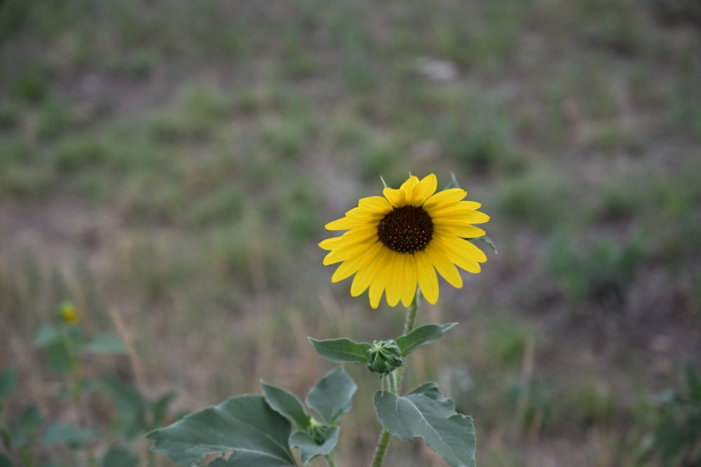 DSC_3406